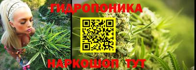 трава Будённовск